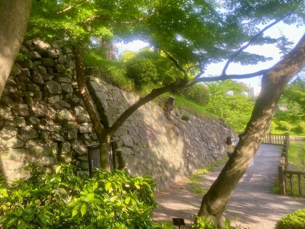 Interactive Museum Exhibits