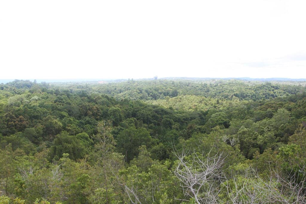 Well-Maintained Trails