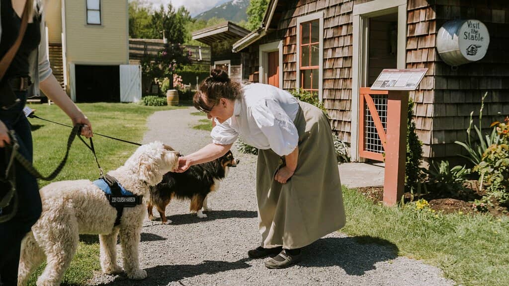 Bat Feeding Spectacle