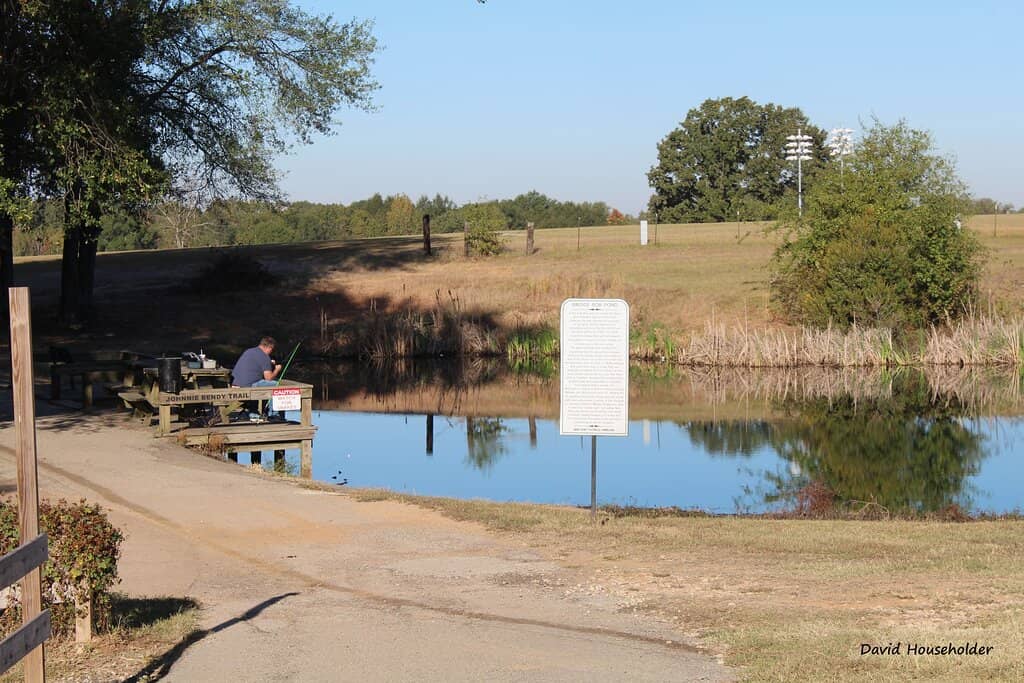 Butterfly & Bee Garden