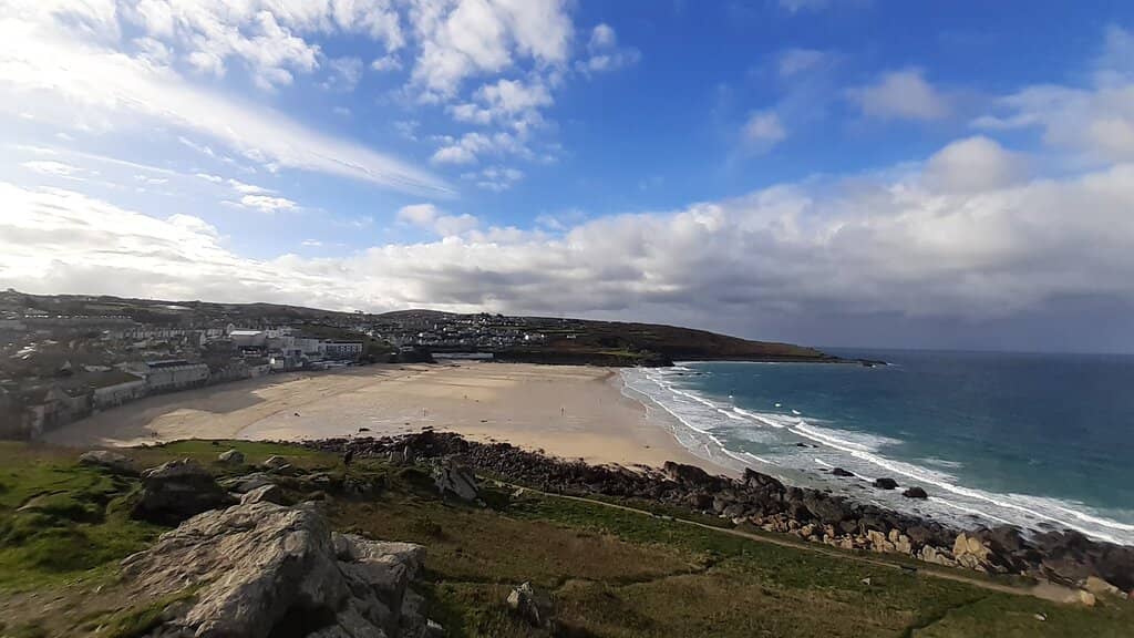Seals and Marine Life