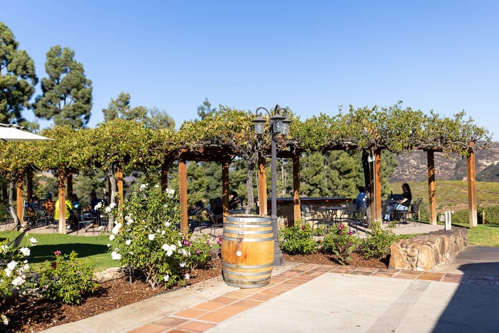 Dinner in the Vines
