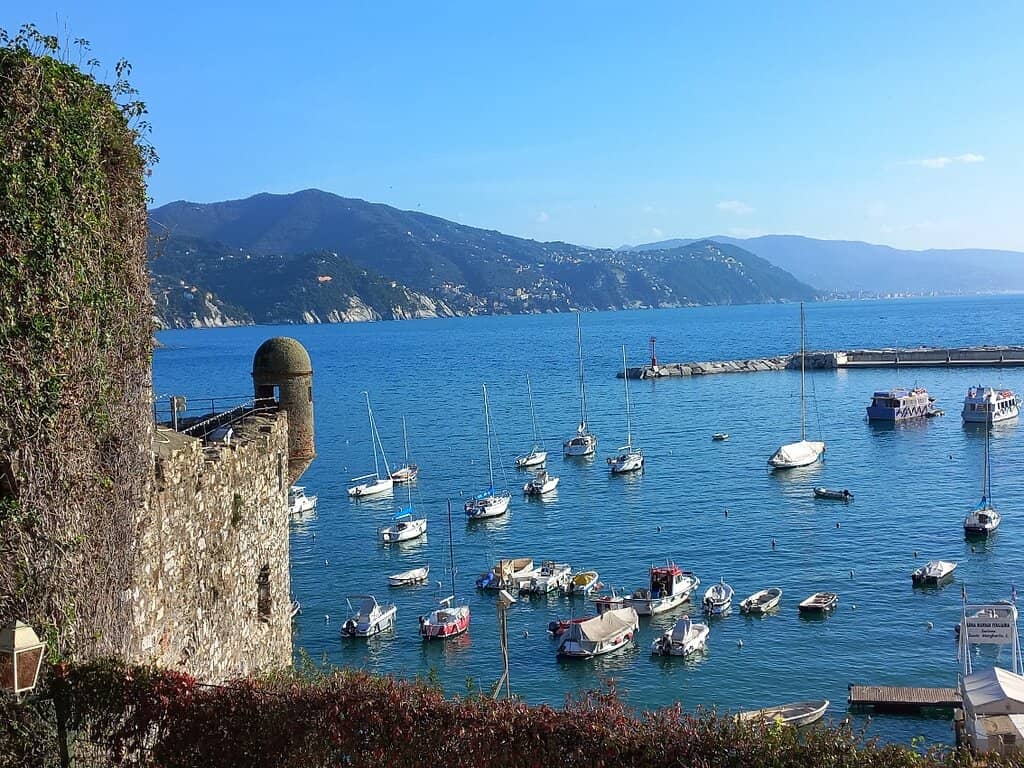 Multimedia Exhibition