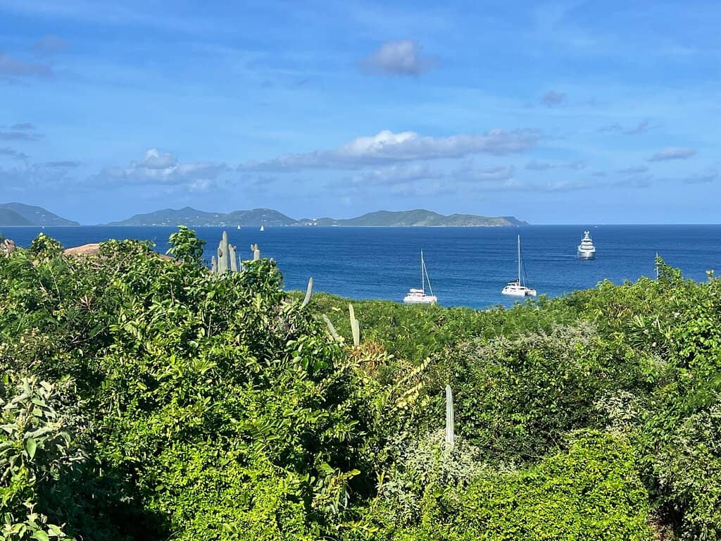 Crystal Clear Waters