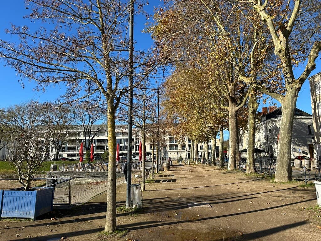 Charcuterie & Cheese Plate
