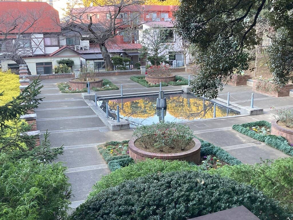 Seasonal Cherry Blossoms