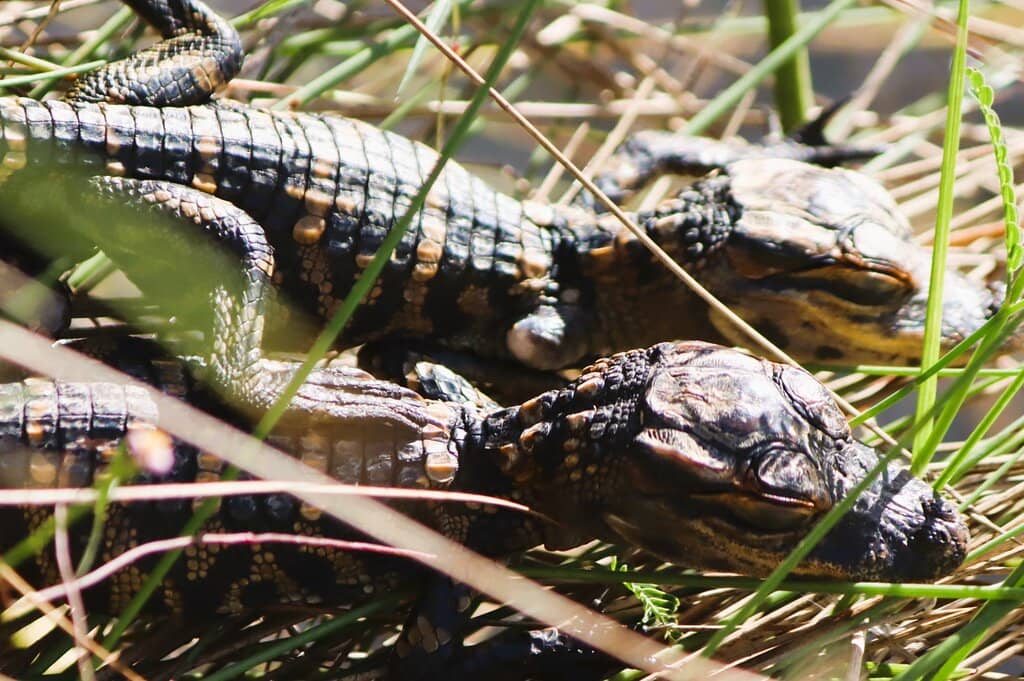 The 15-Mile Loop Road