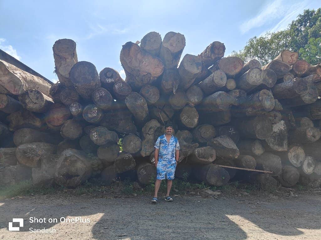 Padauk Wood Processing