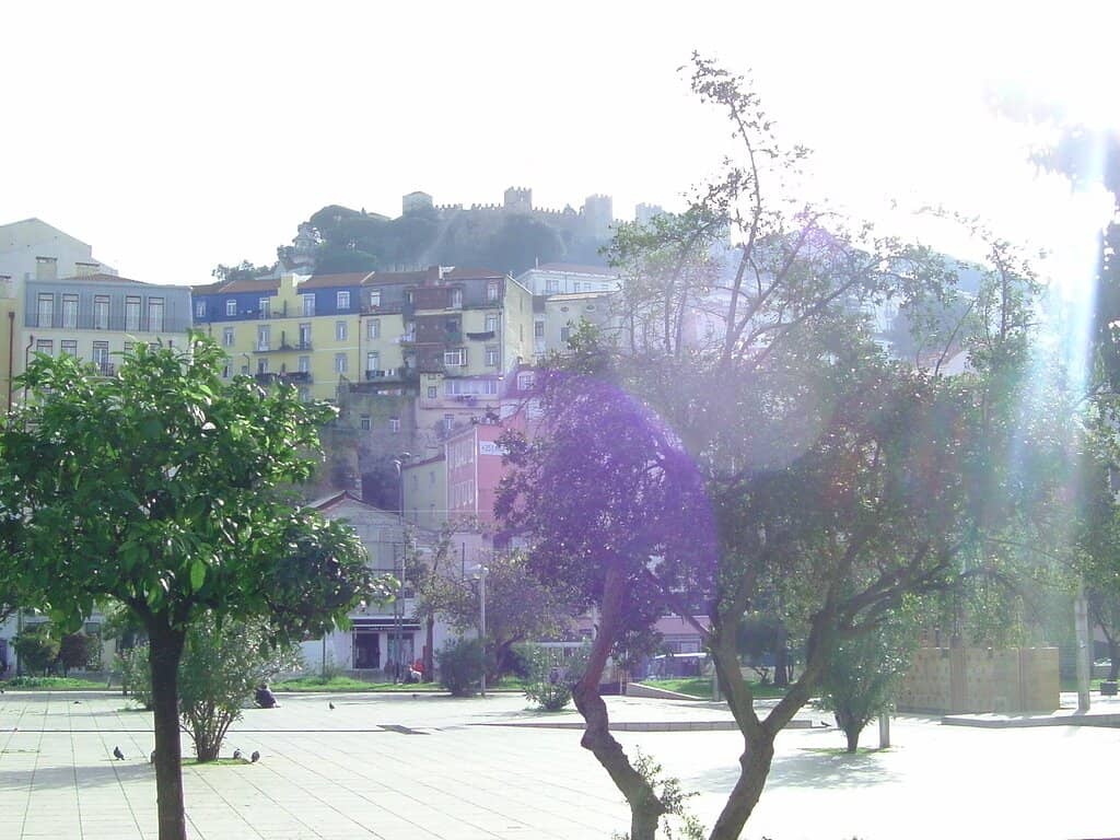 Vertical photo