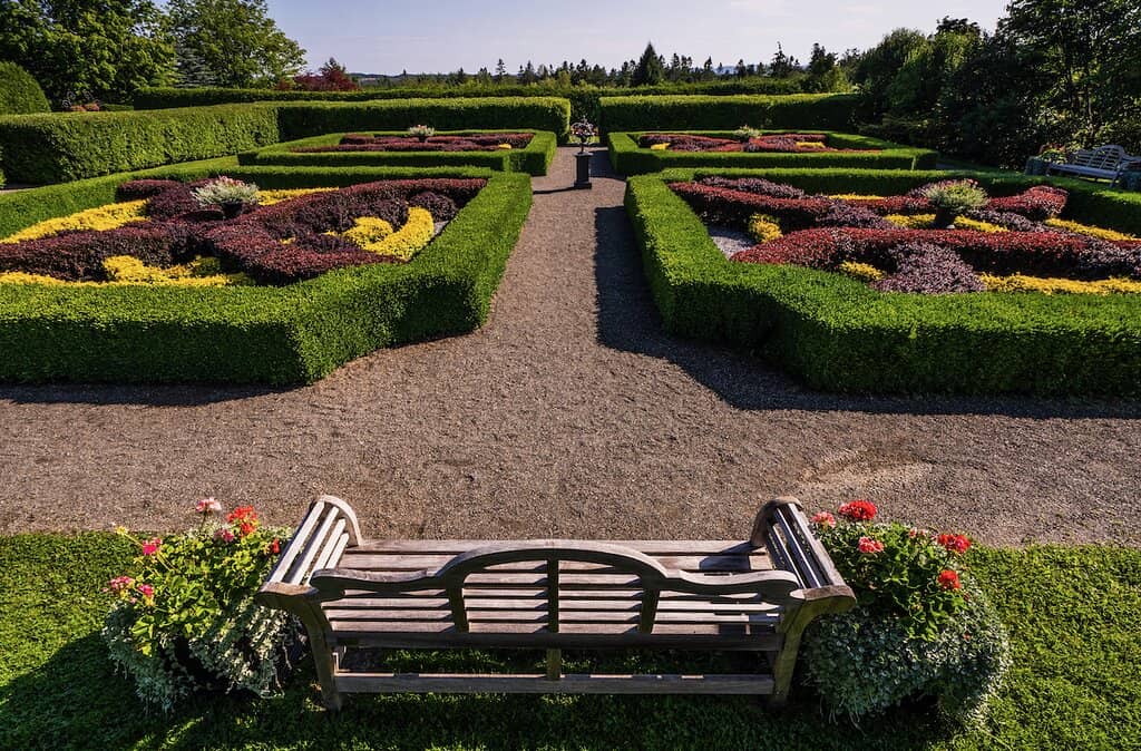 Monarch Breeding Program