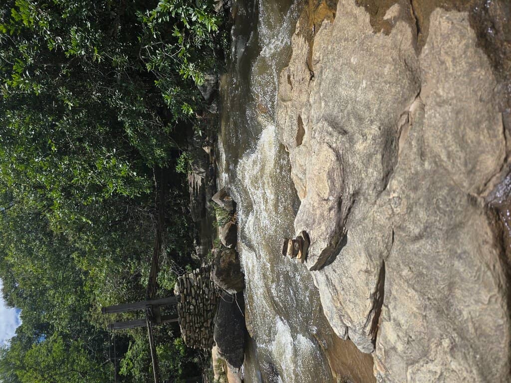 Paved Nature Trails