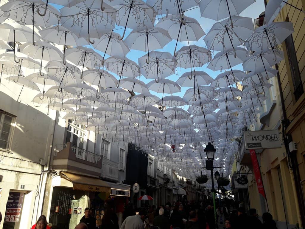 The Colorful Canopy