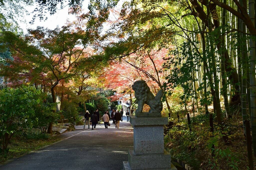 Panoramic Kamakura Views