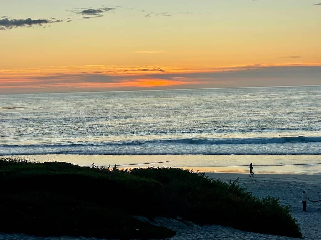 Point Lobos State Natural Reserve