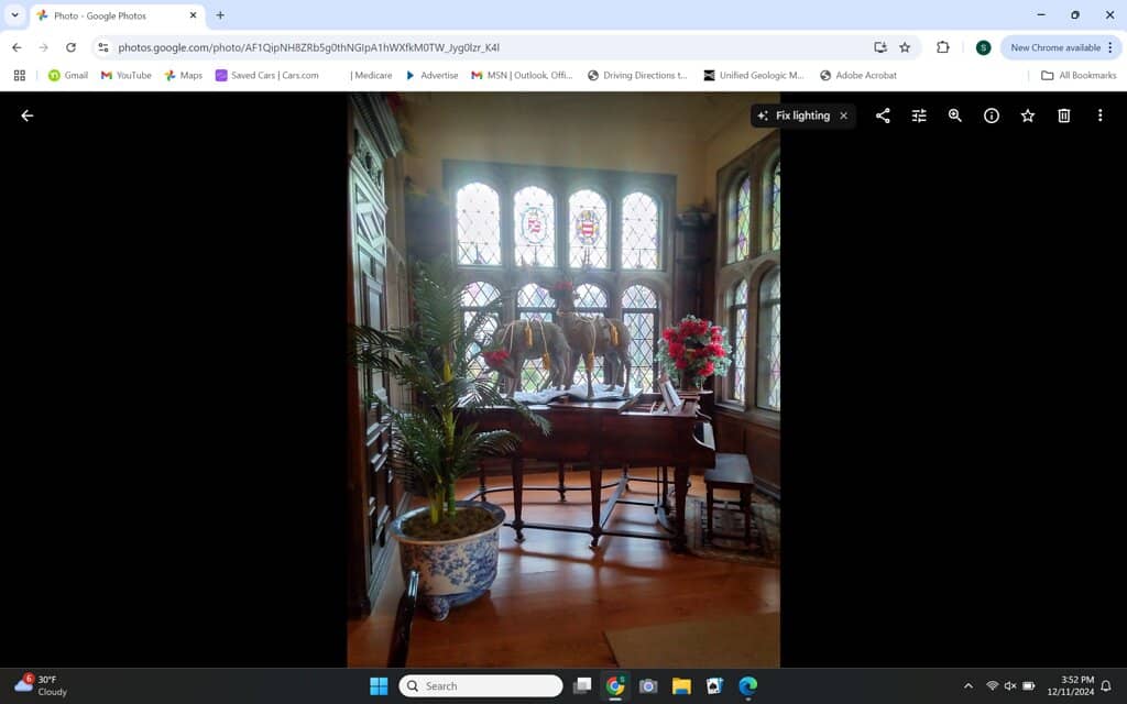 Vertical photo