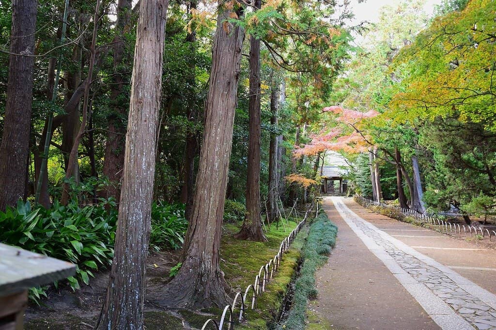 Hokoku-ji Temple (Bamboo Garden)