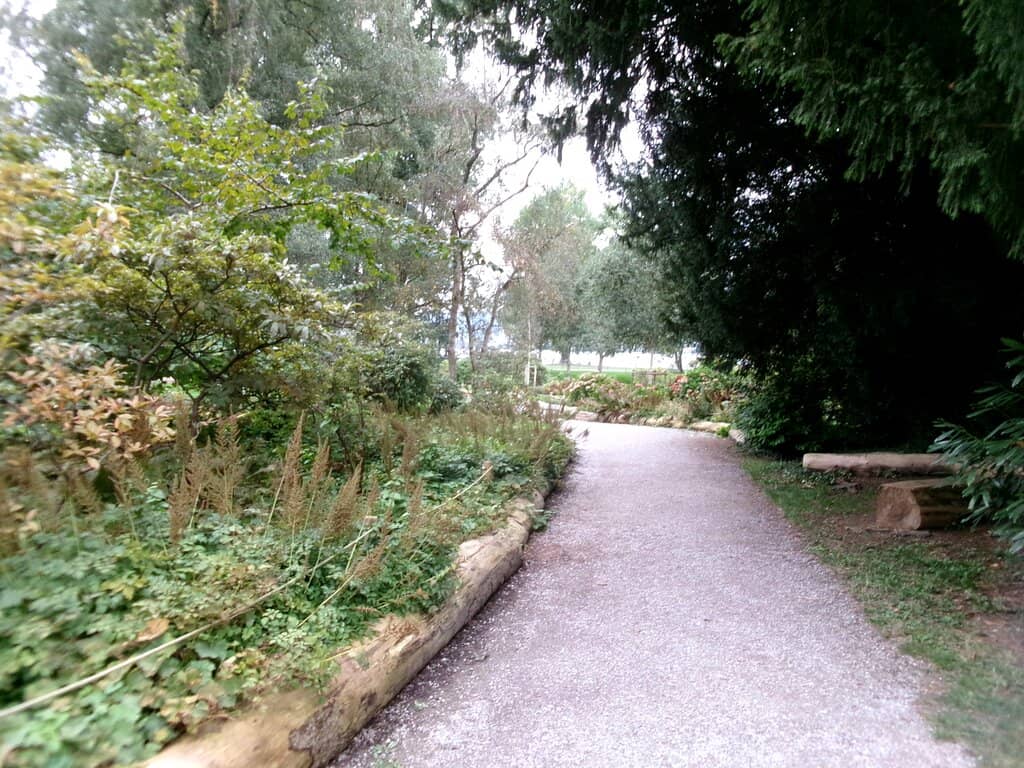 Sculpture by Luigenbühl