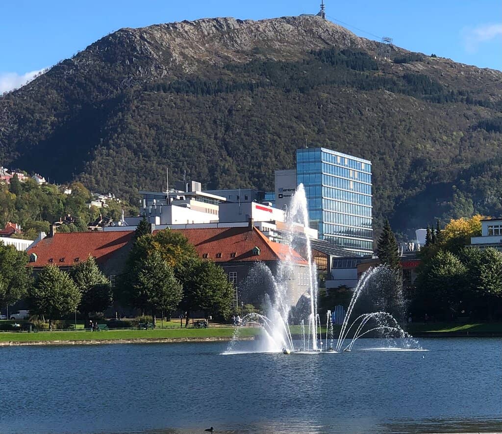 The Central Lake & Fountain