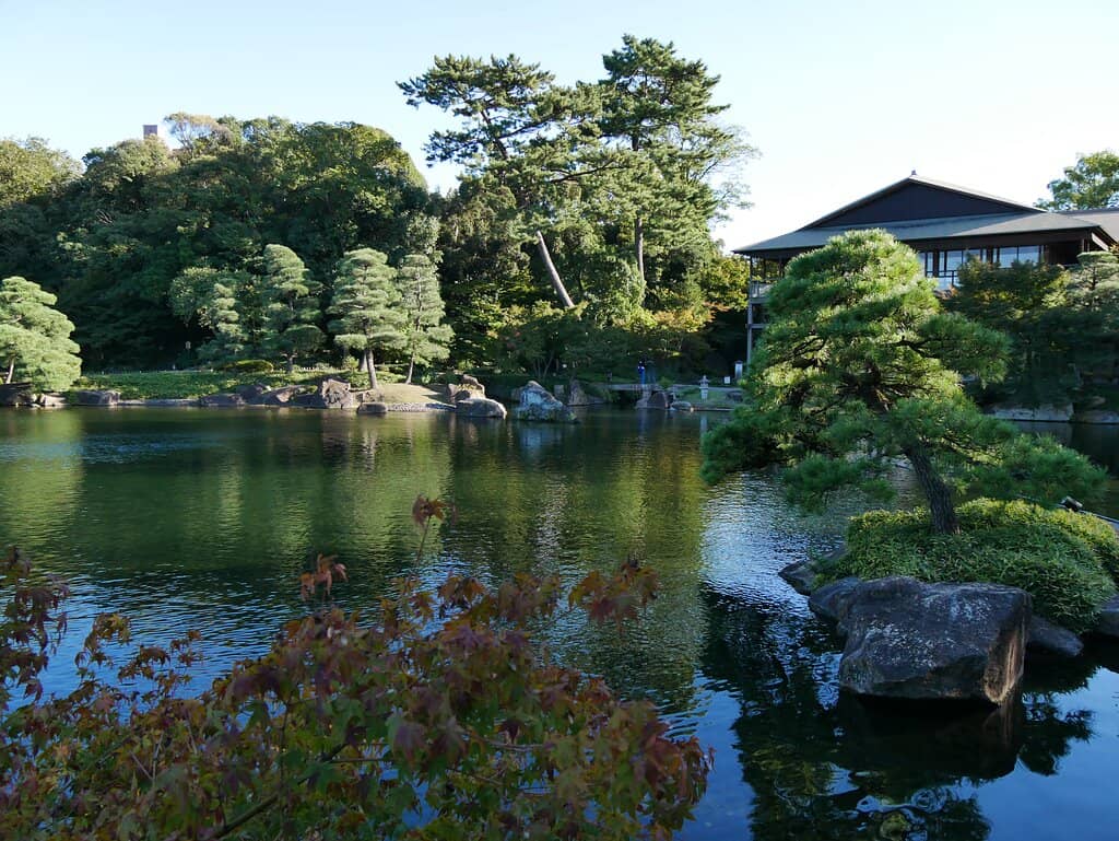 Seasonal Foliage