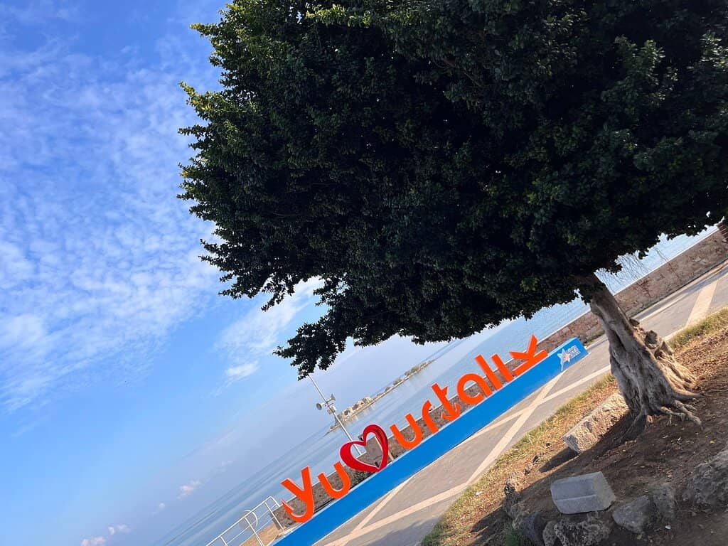 Vertical photo