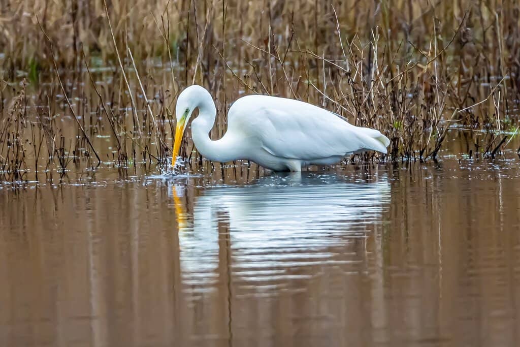 Visitor Centre & Cafe