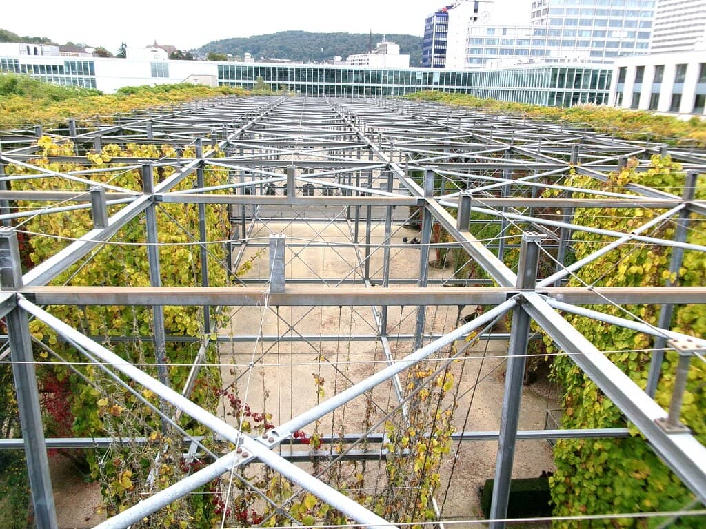 The Living Trellis