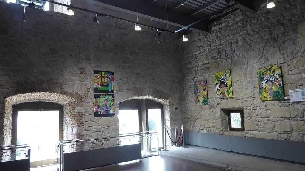 Art Exhibitions