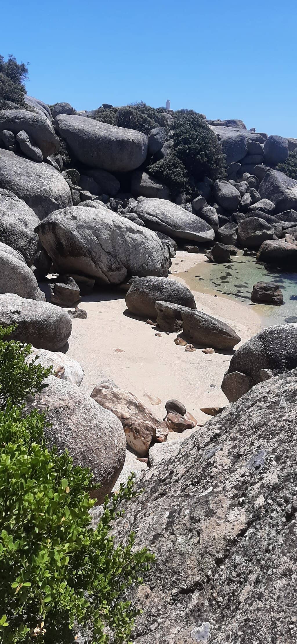 Snorkeling Hotspot