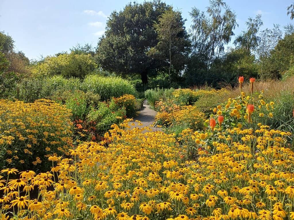 Seasonal Blooms