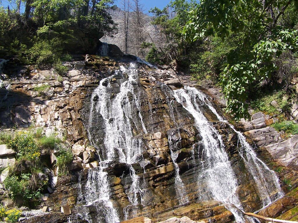 The Trail Experience