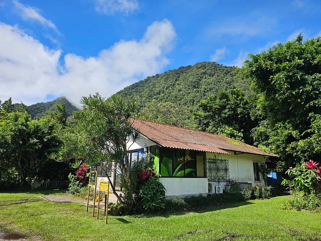 The Golden Frog Sanctuary (EVACC)