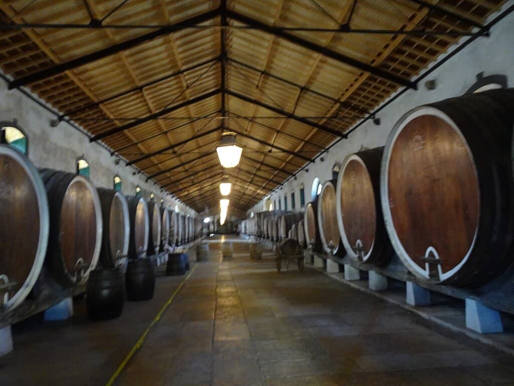 Ramisco Grape Varietal