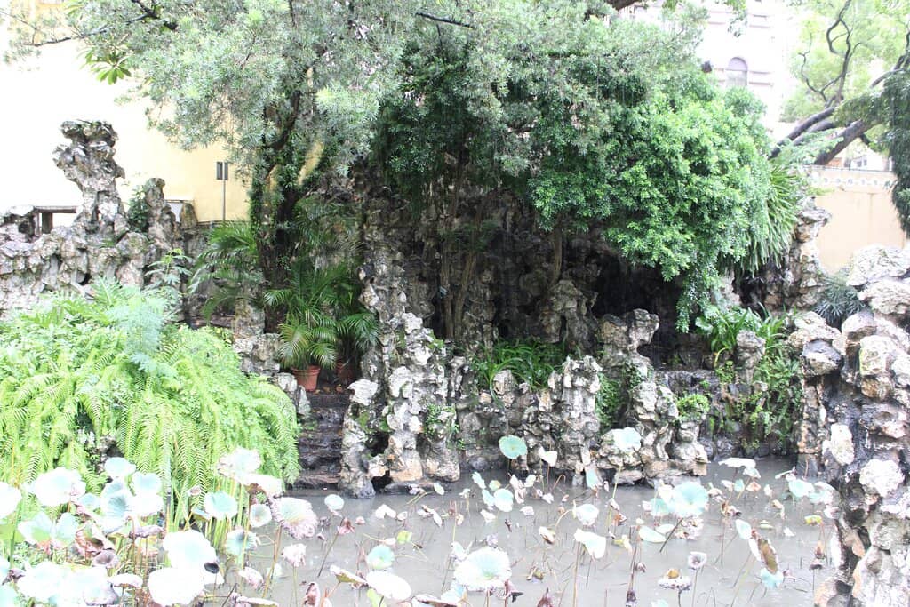 Lush Greenery