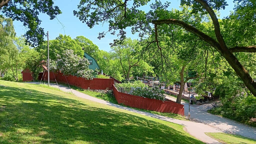 Panoramic City Views