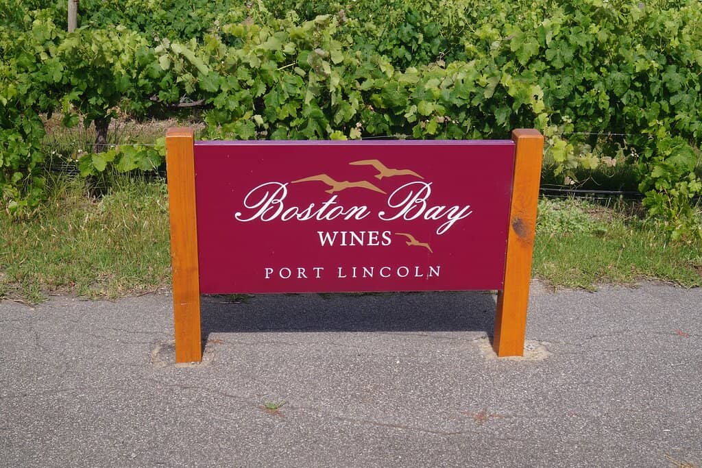 Fresh Coastal Oysters