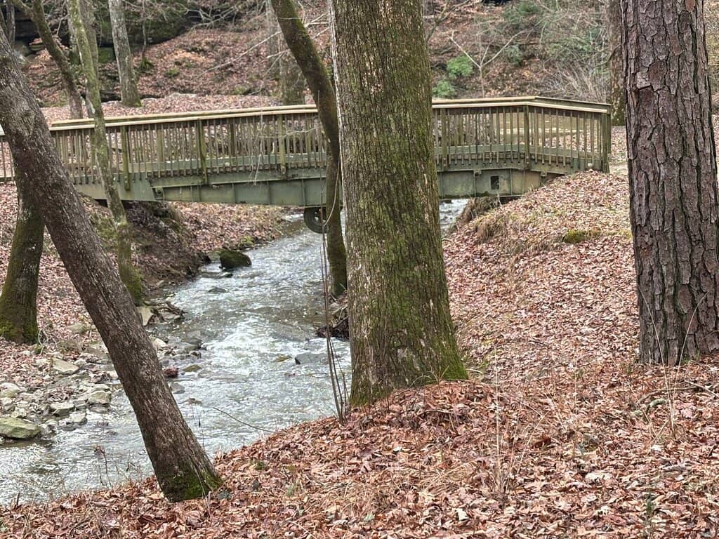 Scenic Walking Trails