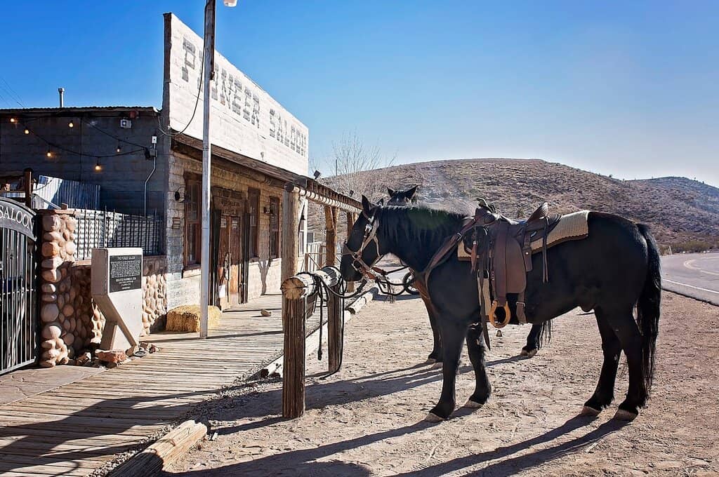 Fallout: New Vegas Connection