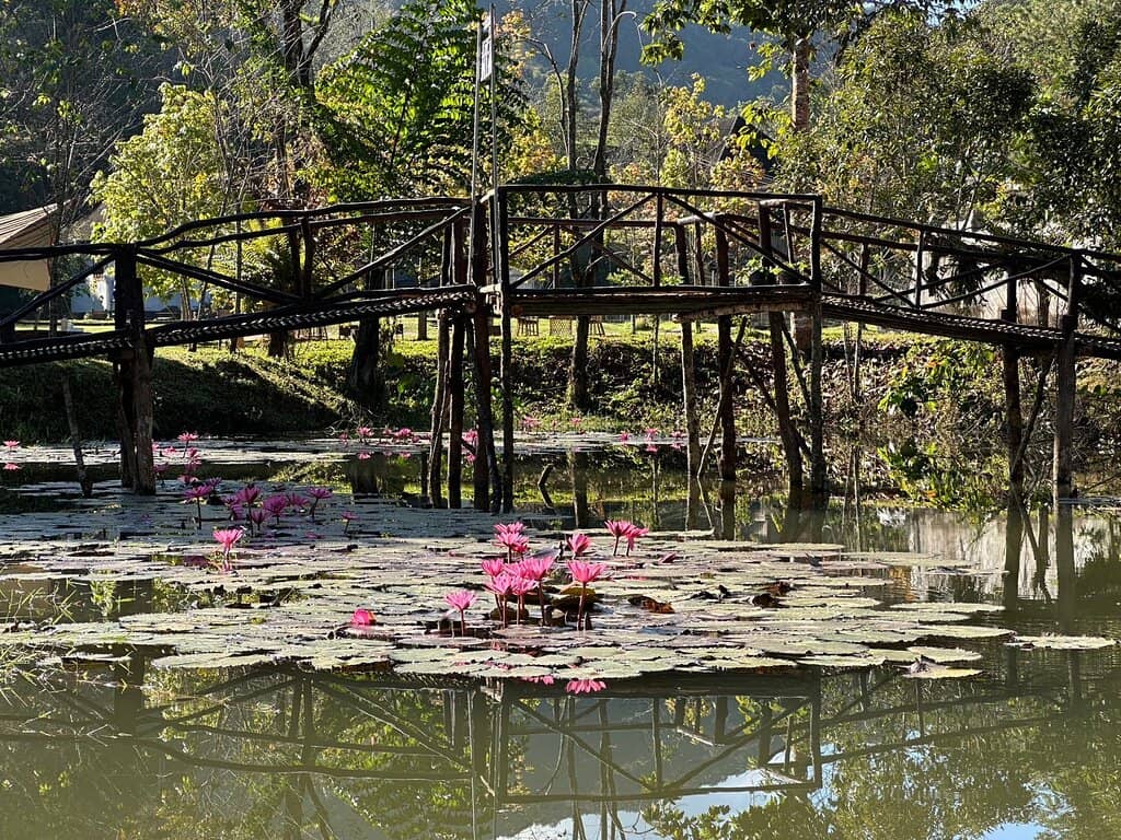 Viewpoint Platforms
