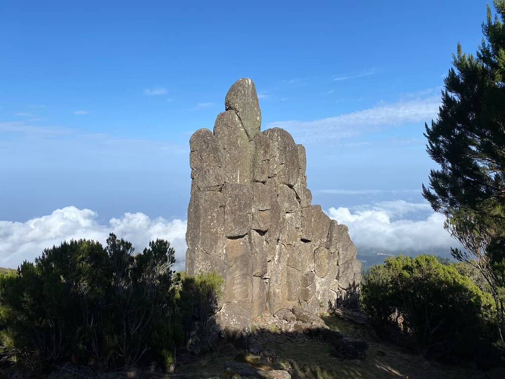 Vertical photo