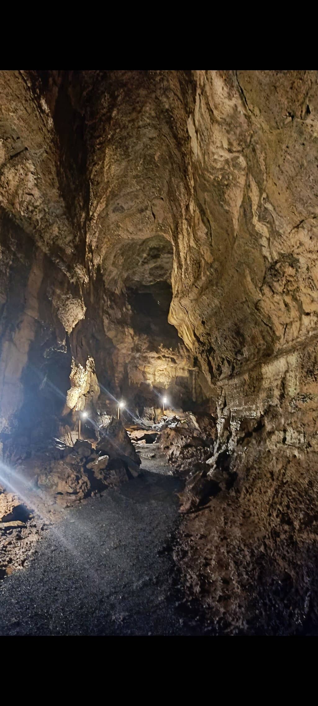 Galapagos Barn Owl Spotting