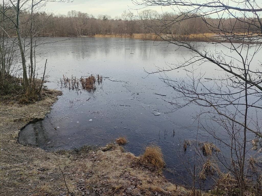 Traditional Sauna Experience