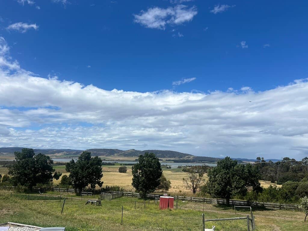 Small-Batch Tasmanian Cheeses