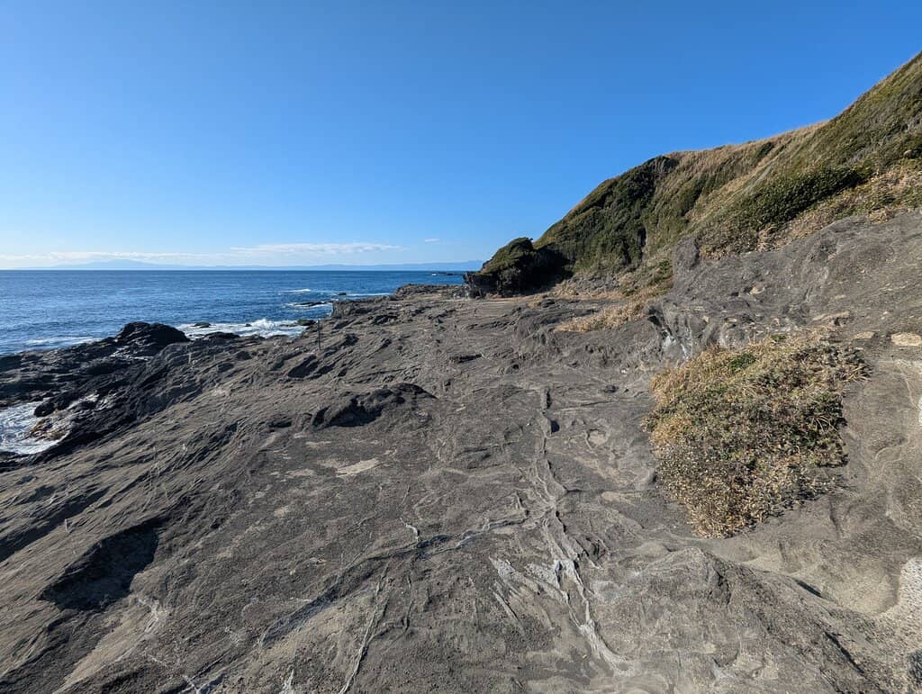 Cormorant Viewing Area