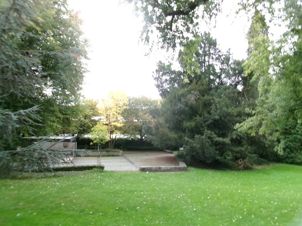 Vibrant Seasonal Blooms