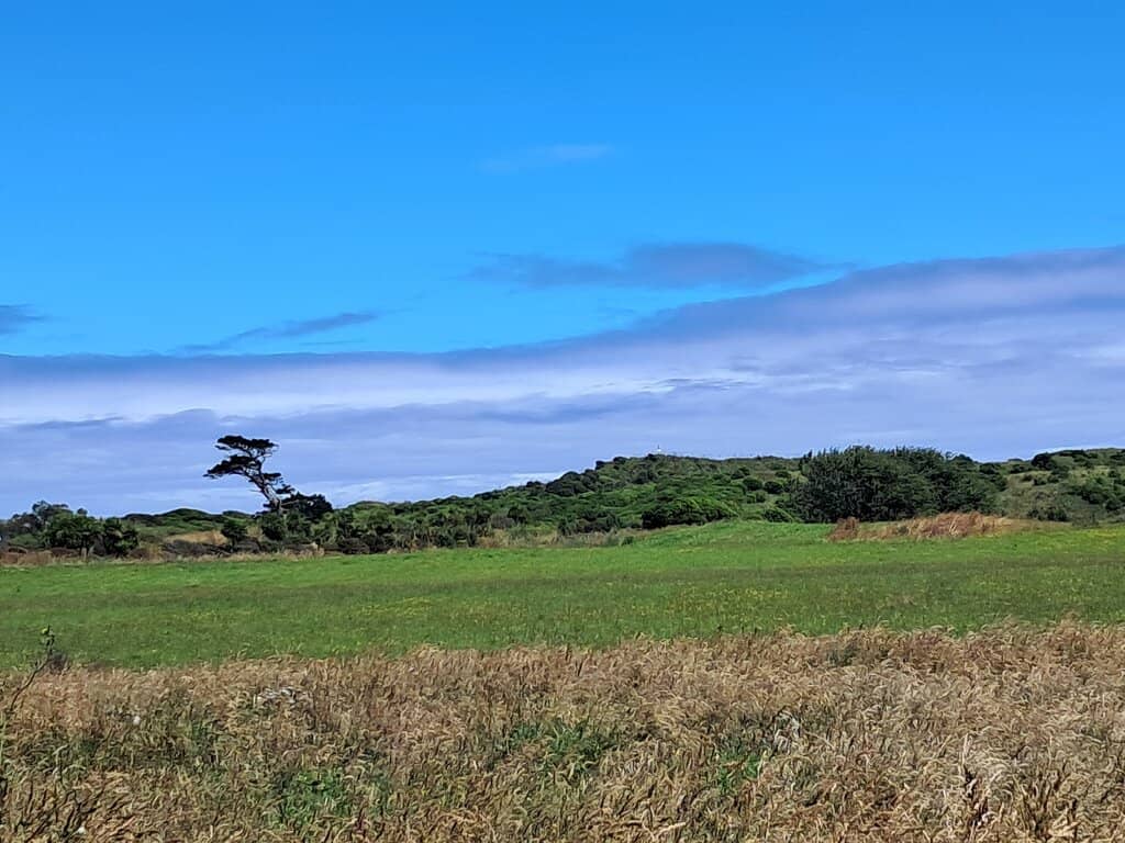 Coastal Path