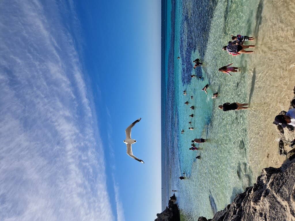 Bathurst Lighthouse Views