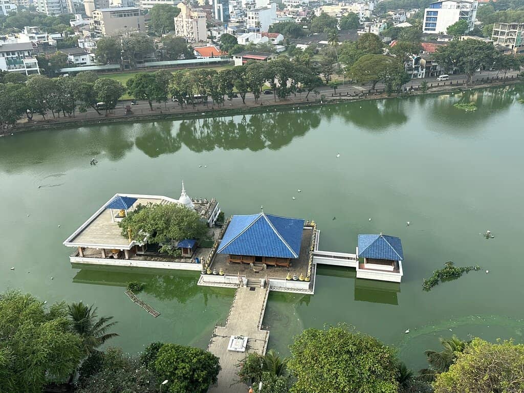 Tranquil Lake Views