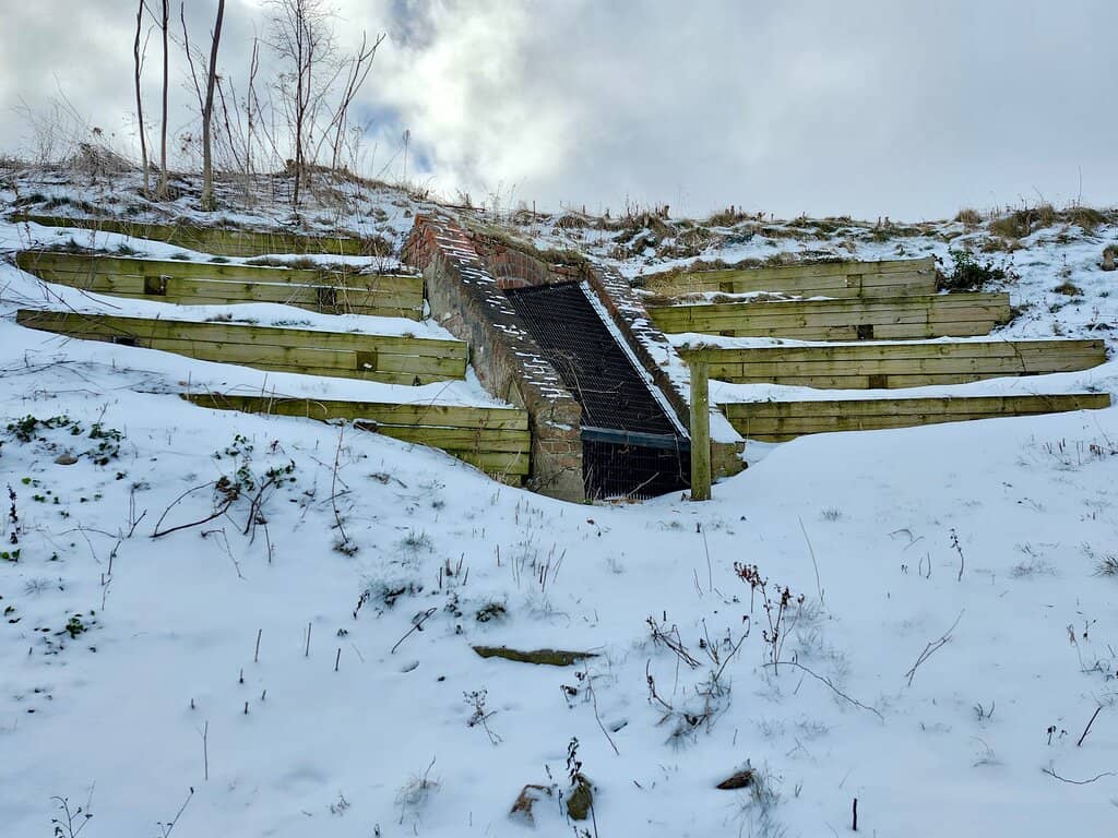 Star-Shaped Fortress