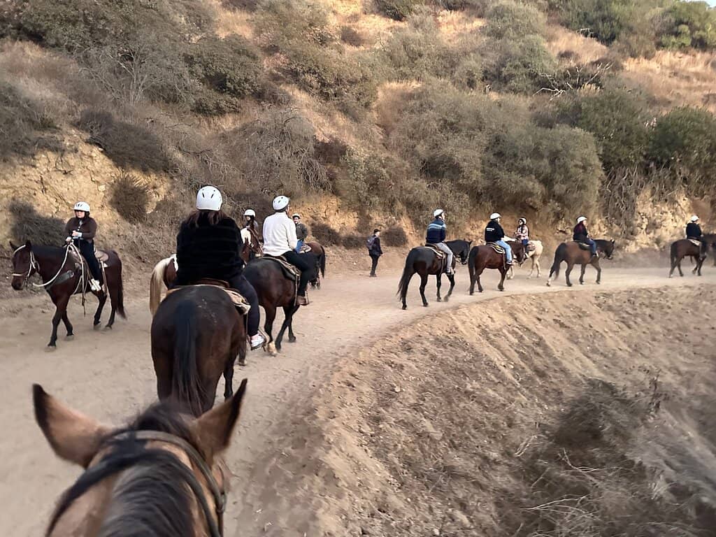 Ranch Atmosphere