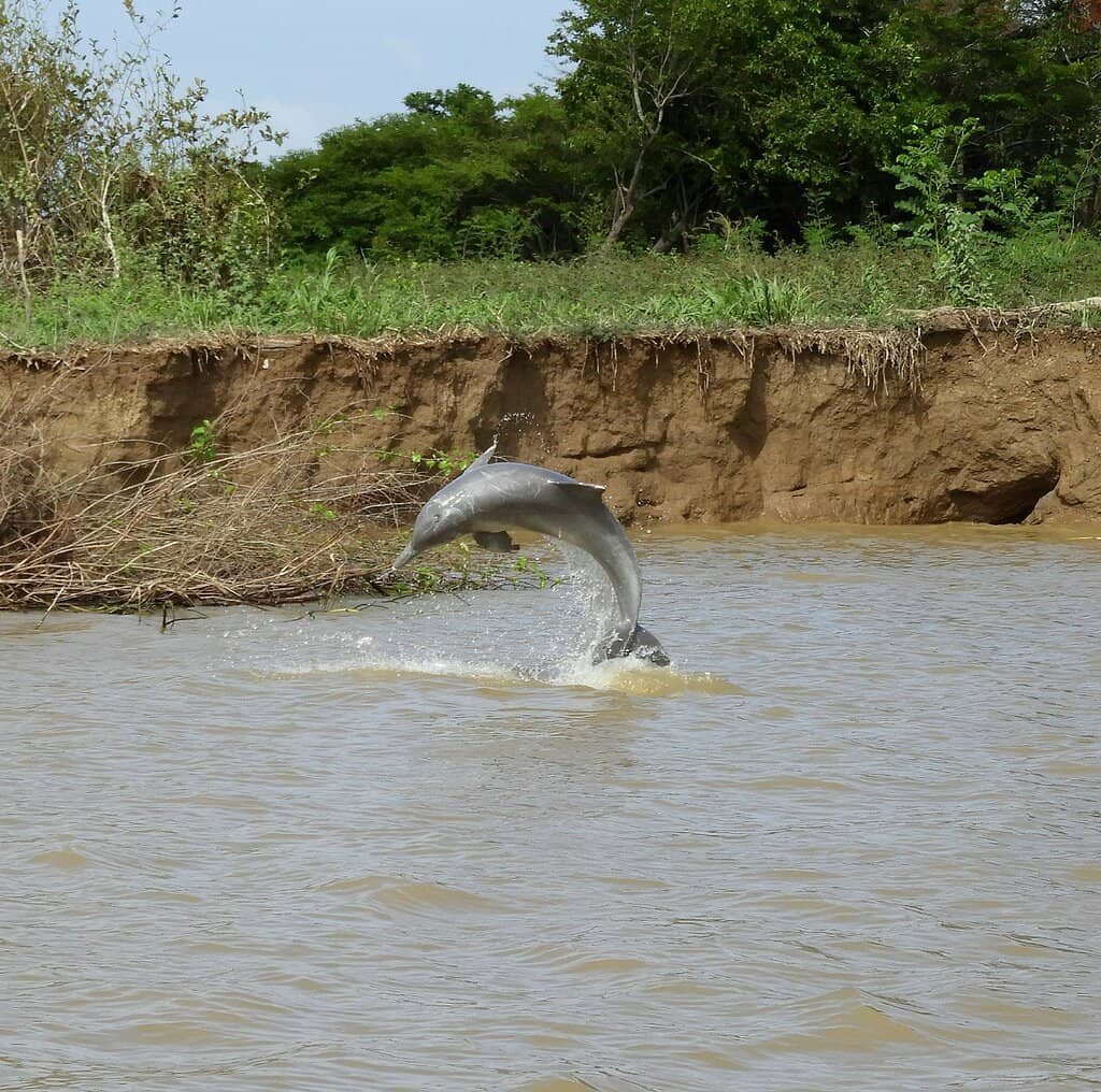 Community Tourism Experience